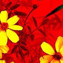 ddos服务器攻击手段