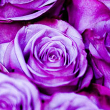 免费cc攻击测试